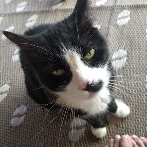 Meet your Posher, Mary